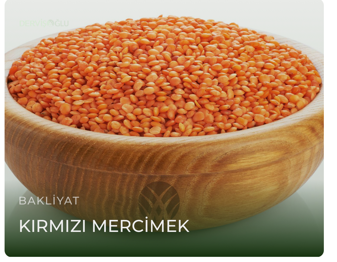 Kırmızı Mercimek