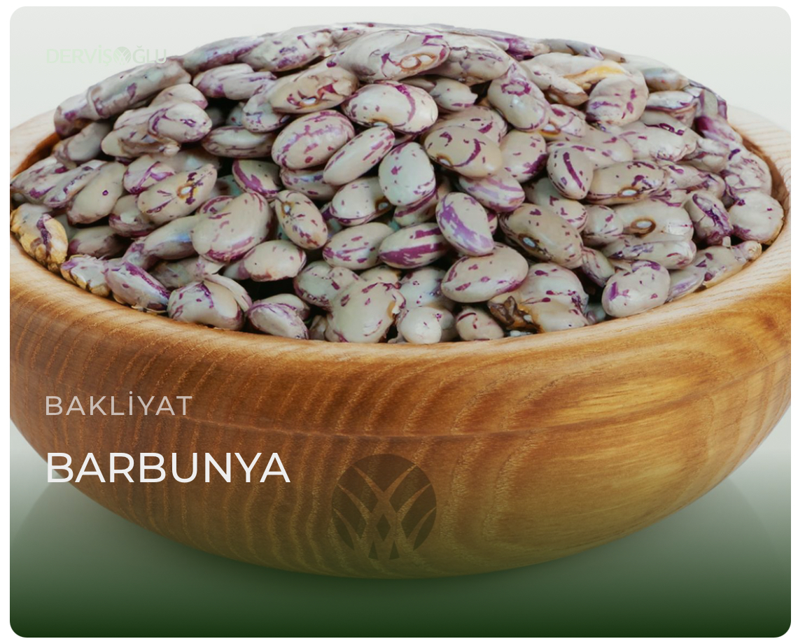 Barbunya