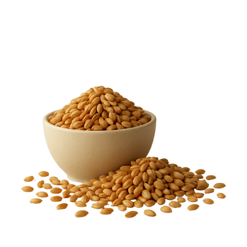 Buğday